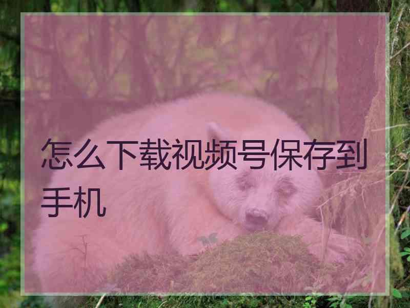 怎么下载视频号保存到手机