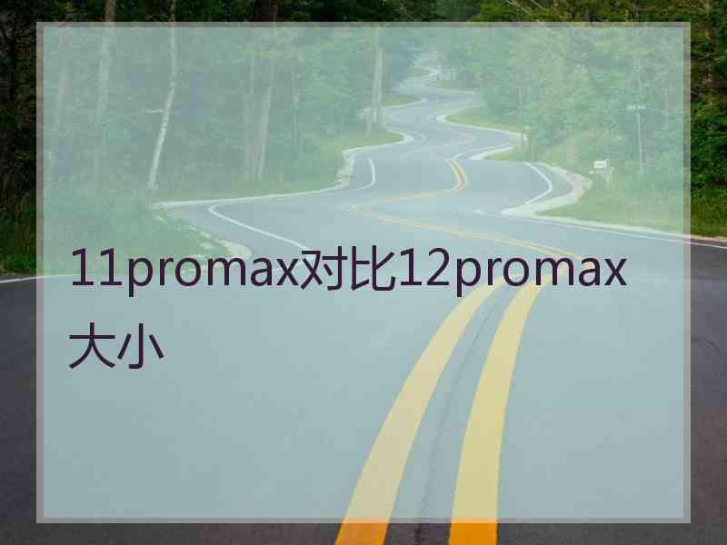 11promax对比12promax大小