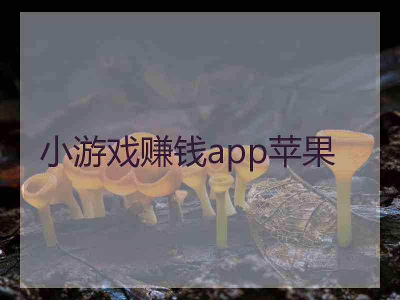 小游戏赚钱app苹果