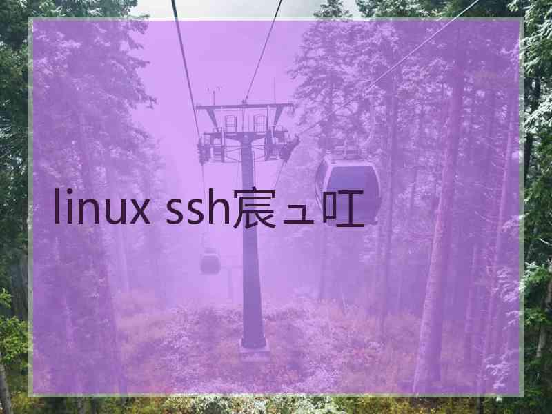 linux ssh宸ュ叿