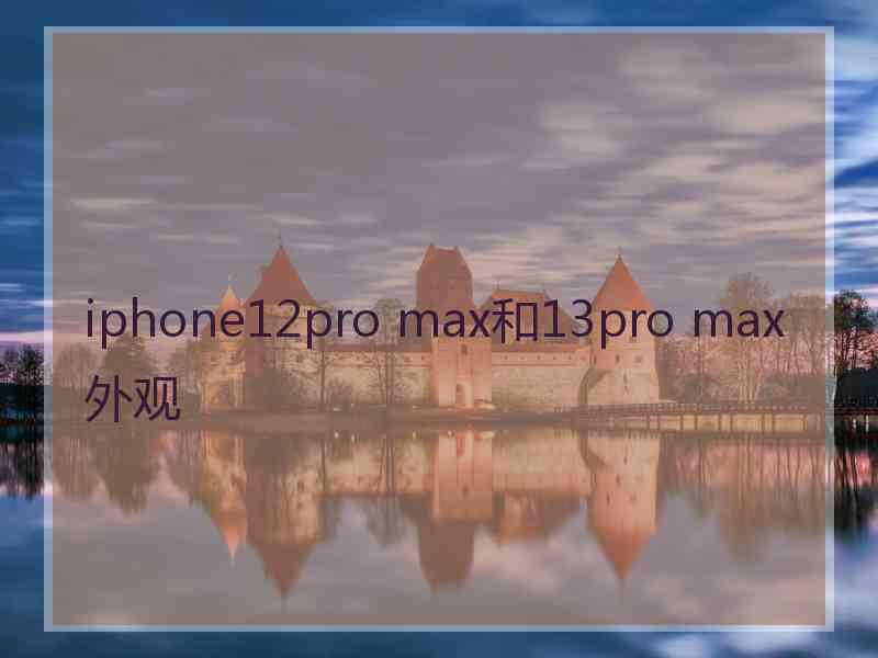 iphone12pro max和13pro max外观