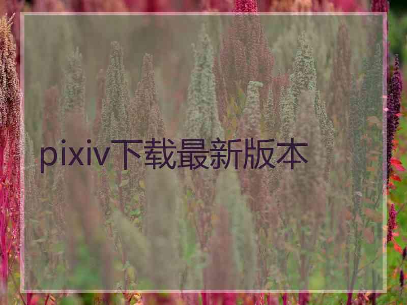 pixiv下载最新版本