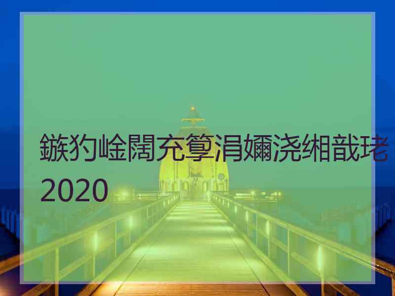 鏃犳崯闊充箰涓嬭浇缃戠珯2020