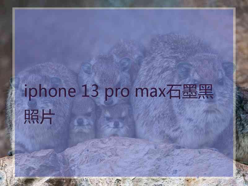 iphone 13 pro max石墨黑照片