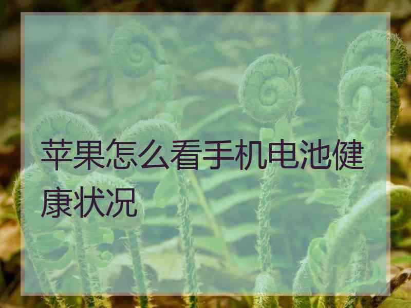 苹果怎么看手机电池健康状况