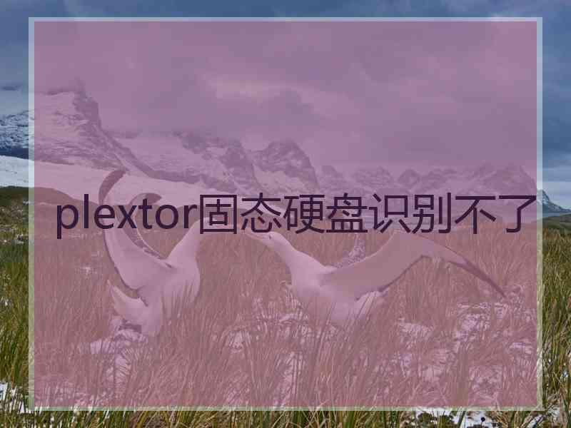 plextor固态硬盘识别不了