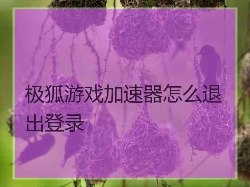 极狐游戏加速器怎么退出登录