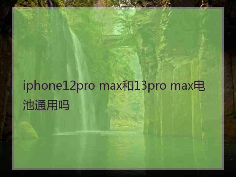 iphone12pro max和13pro max电池通用吗