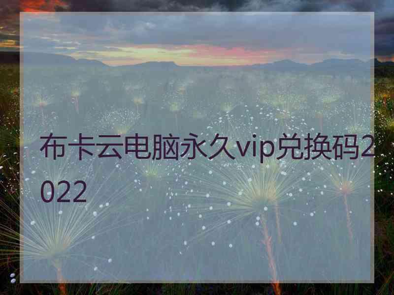 布卡云电脑永久vip兑换码2022