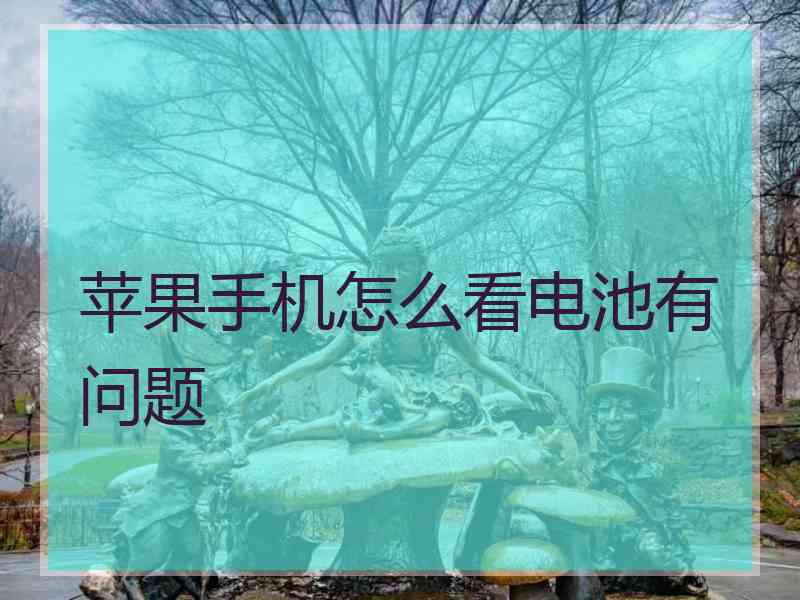 苹果手机怎么看电池有问题