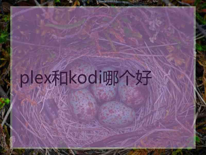 plex和kodi哪个好