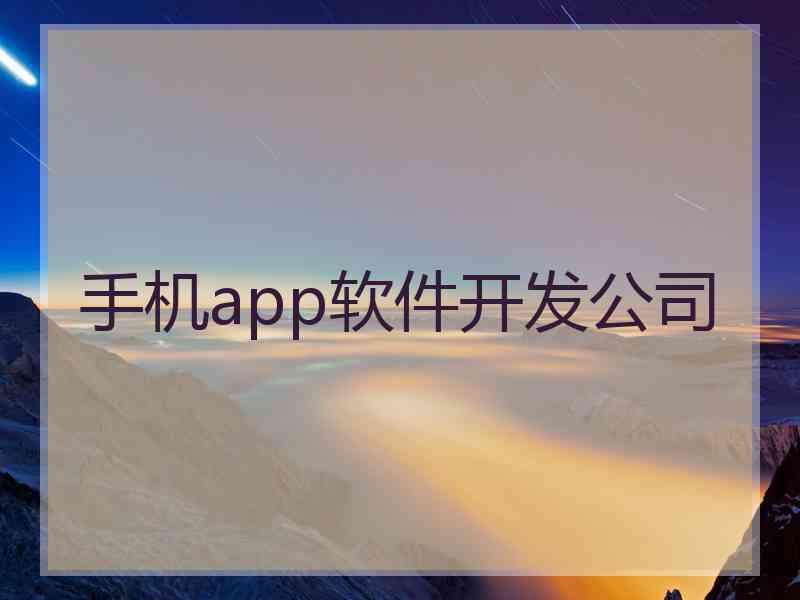 手机app软件开发公司