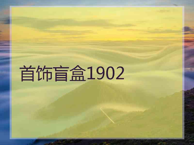 首饰盲盒1902