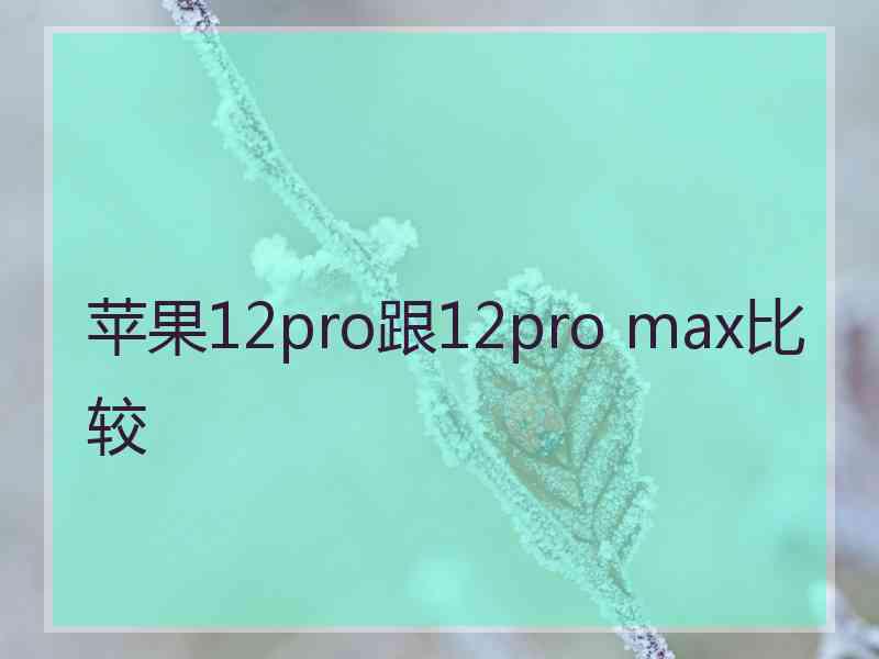 苹果12pro跟12pro max比较