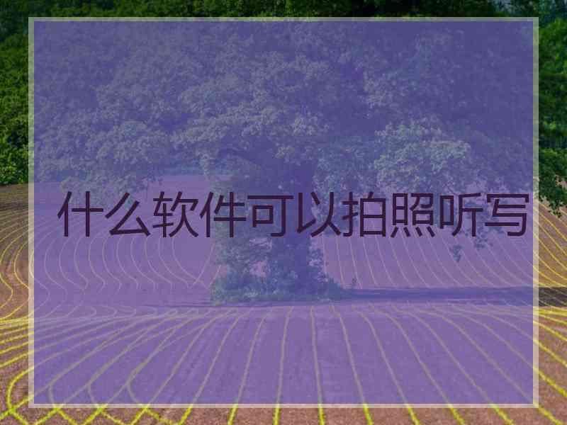 什么软件可以拍照听写