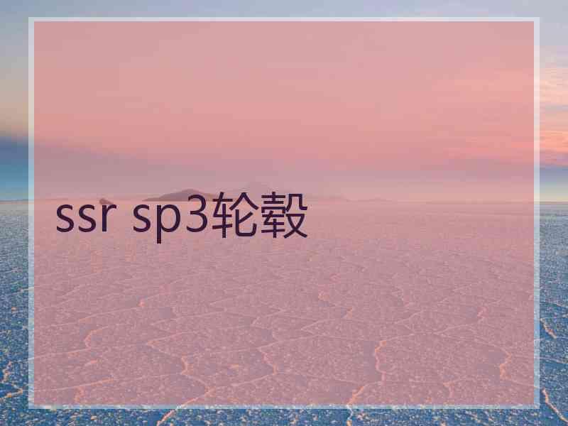 ssr sp3轮毂