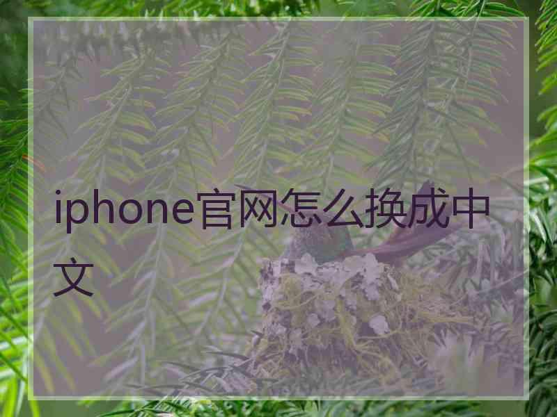 iphone官网怎么换成中文