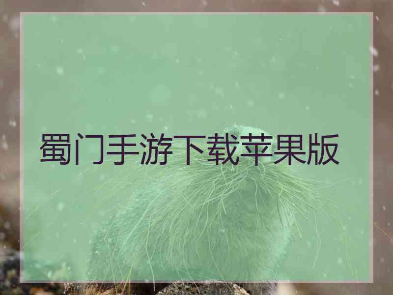 蜀门手游下载苹果版