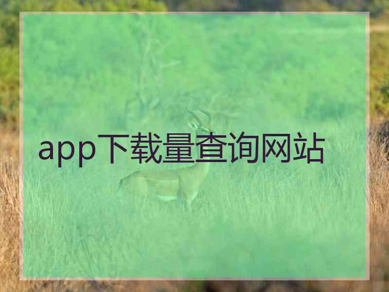 app下载量查询网站