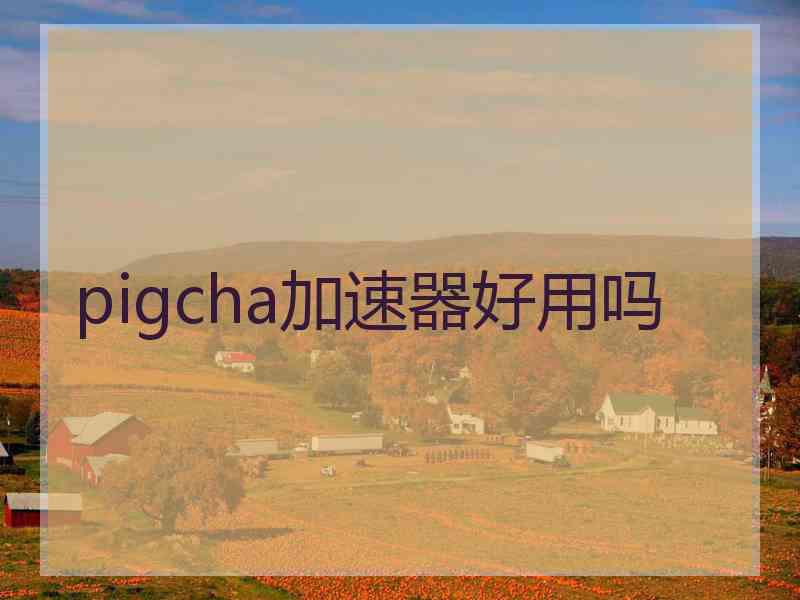 pigcha加速器好用吗