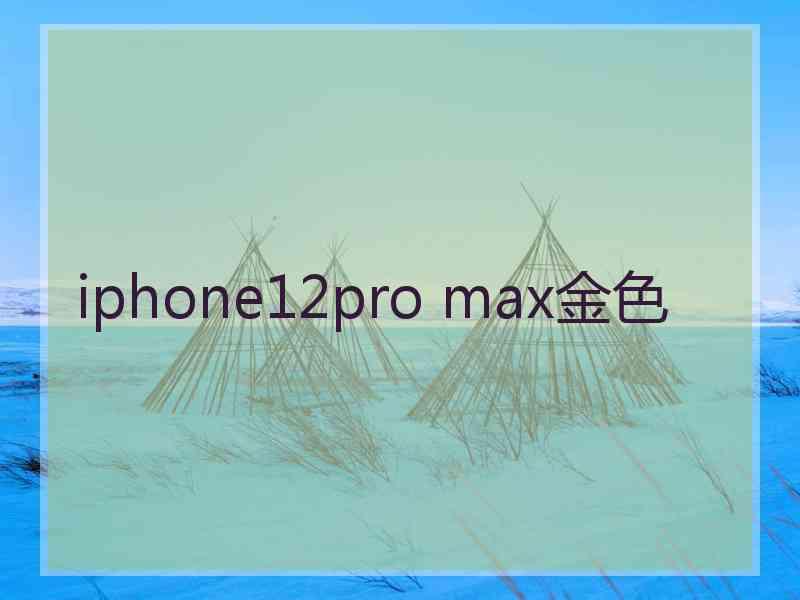 iphone12pro max金色