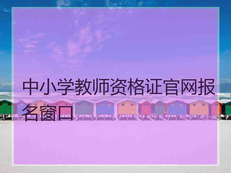 中小学教师资格证官网报名窗口